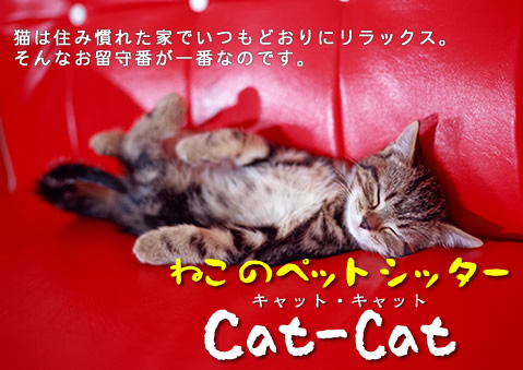 ͌̔L̃ybgVb^[@Cat-CatLbgLbg